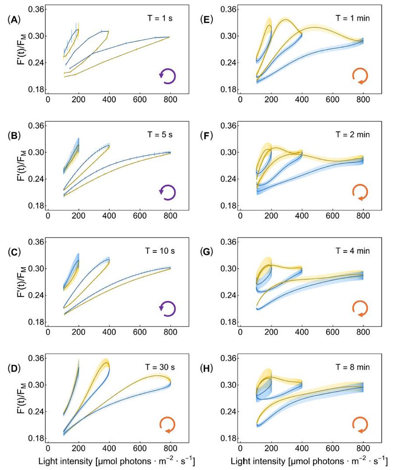 圖325080601.jpg 圖325080601.jpg