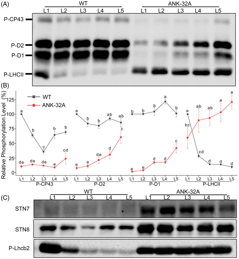 圖250828PJ-4.jpg 圖250828PJ-4.jpg