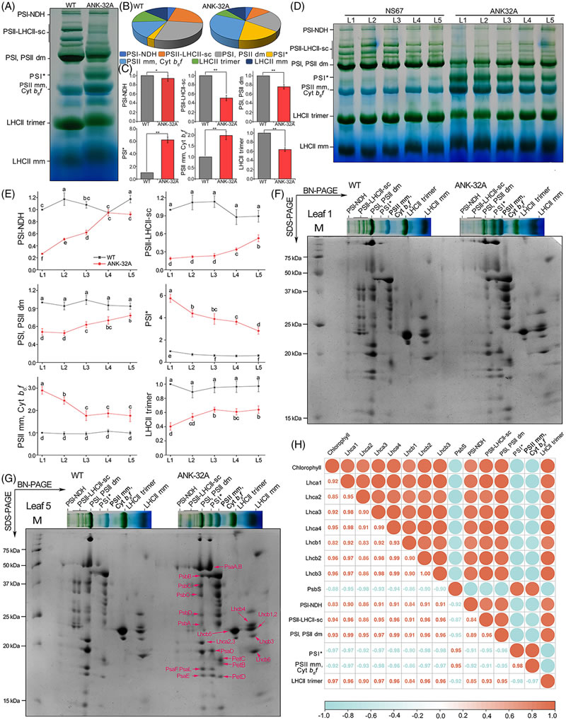圖250828PJ-5.jpg 圖250828PJ-5.jpg
