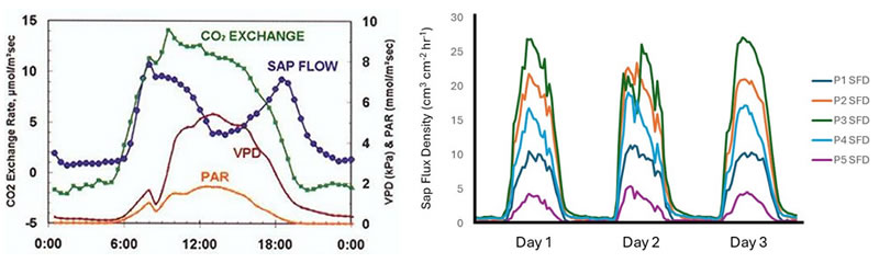 圖325082811.jpg 圖325082811.jpg