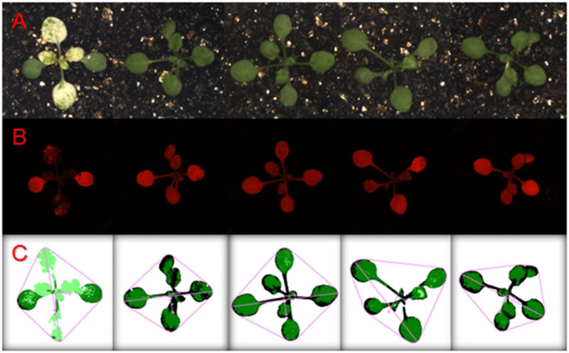 圖125052101.jpg 圖125052101.jpg