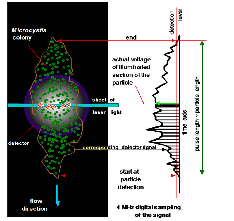 圖125062402.jpg 圖125062402.jpg