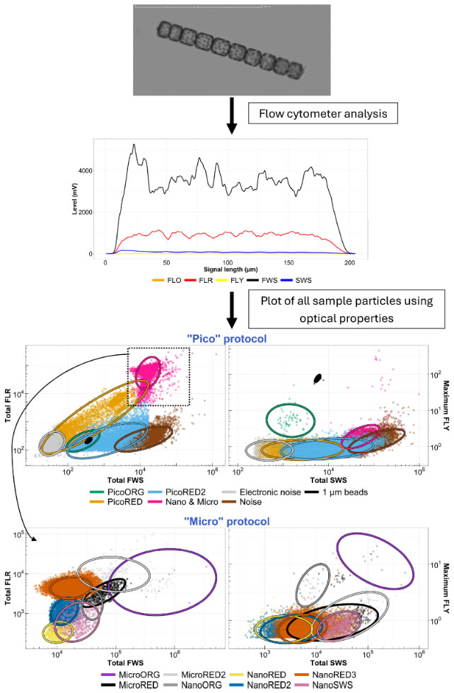 圖225091703.jpg 圖225091703.jpg
