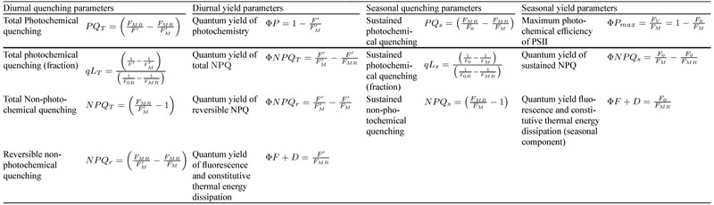 表125091101.jpg 表125091101.jpg