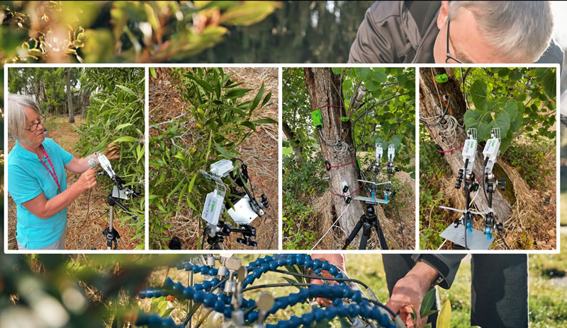 圖725091101.jpg 圖725091101.jpg