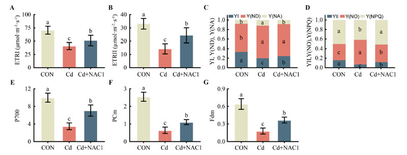 @2 2025-Yu-Scientia Horticulturae-2.jpg @2 2025-Yu-Scientia Horticulturae-2.jpg