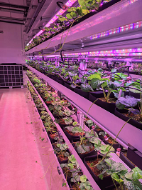 圖片4.png 圖片4.png