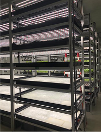 圖片6.png 圖片6.png