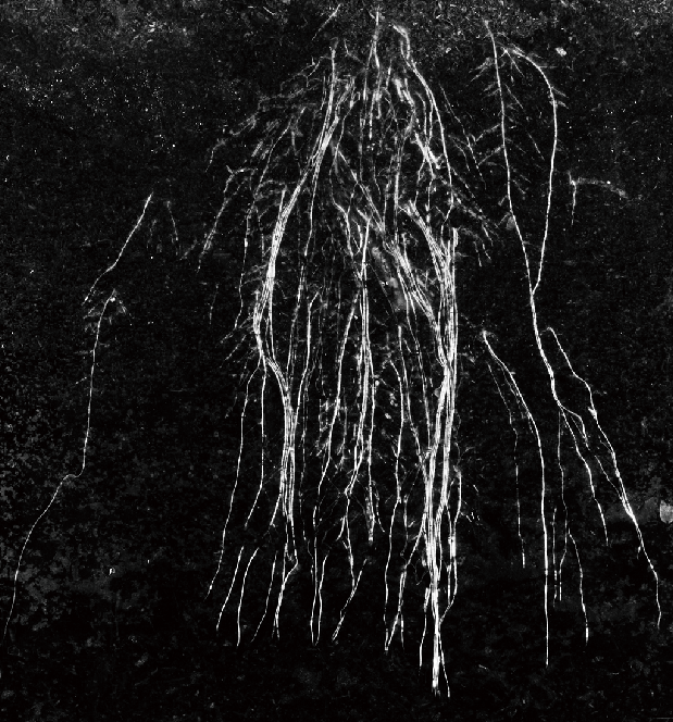 微信圖片_20251210092312_3_1772.png 微信圖片_20251210092312_3_1772.png