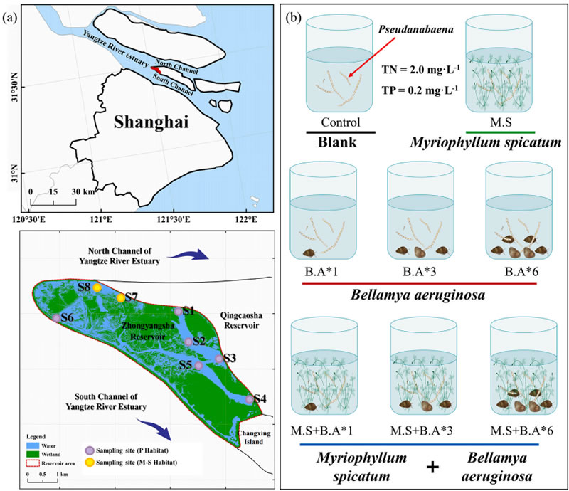 圖126010601.jpg 圖126010601.jpg