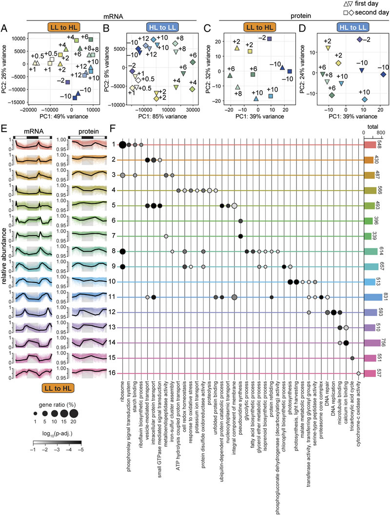 圖326011901.jpg 圖326011901.jpg