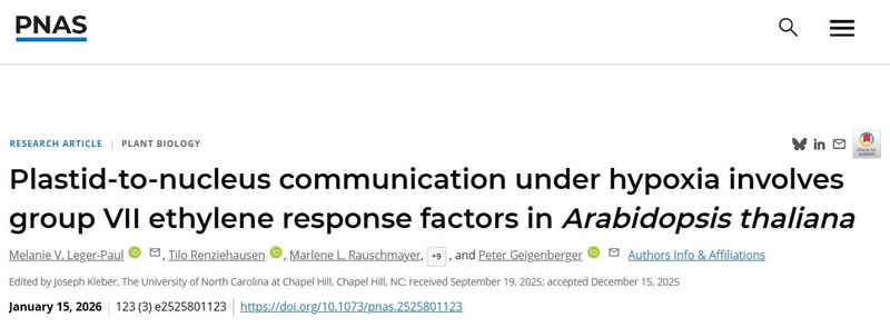 圖026011901.jpg 圖026011901.jpg