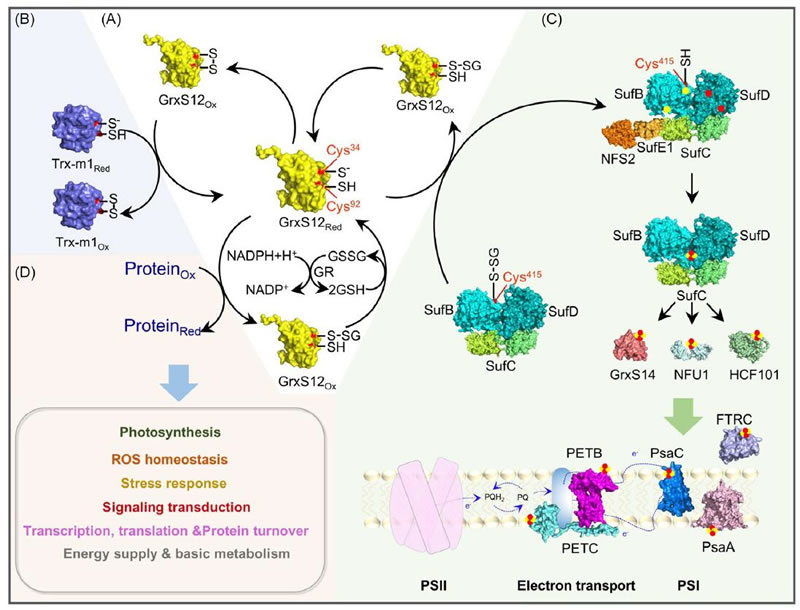 圖2126012801.jpg 圖2126012801.jpg