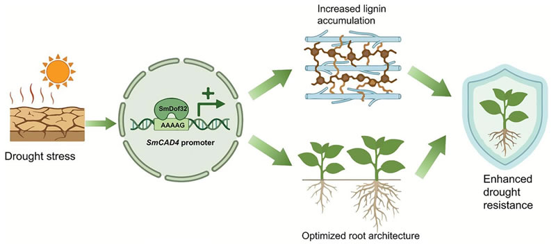 圖1826012801.jpg 圖1826012801.jpg