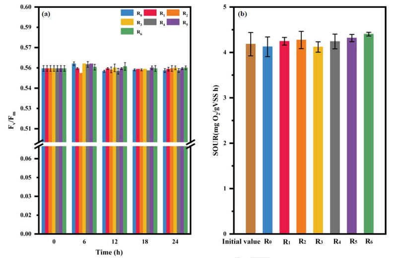 圖1526012801.jpg 圖1526012801.jpg