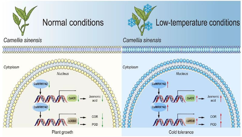圖1426012801.jpg 圖1426012801.jpg