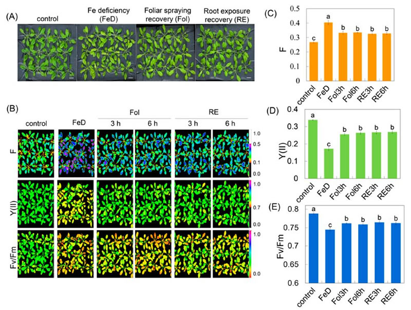 圖1226012801.jpg 圖1226012801.jpg