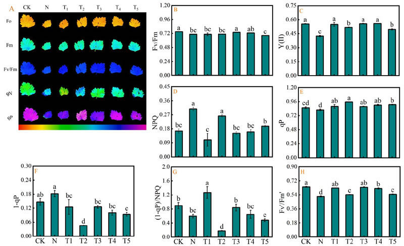 圖926012801.jpg 圖926012801.jpg