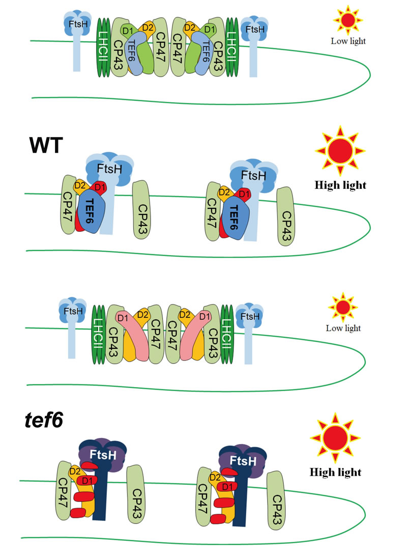 圖826012801.jpg 圖826012801.jpg