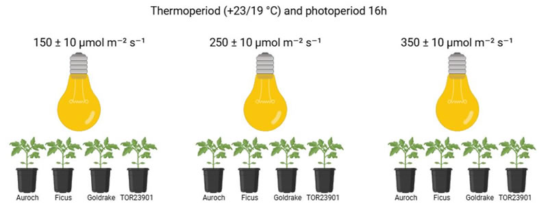 圖626012801.jpg 圖626012801.jpg