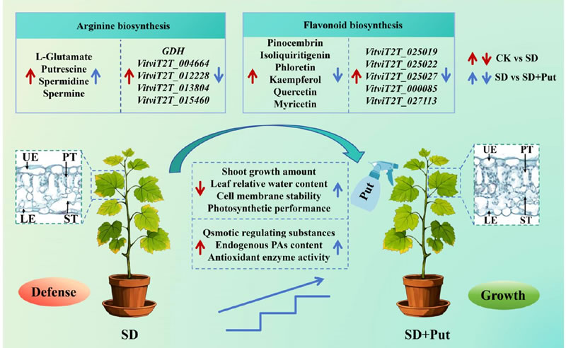 圖526012801.jpg 圖526012801.jpg