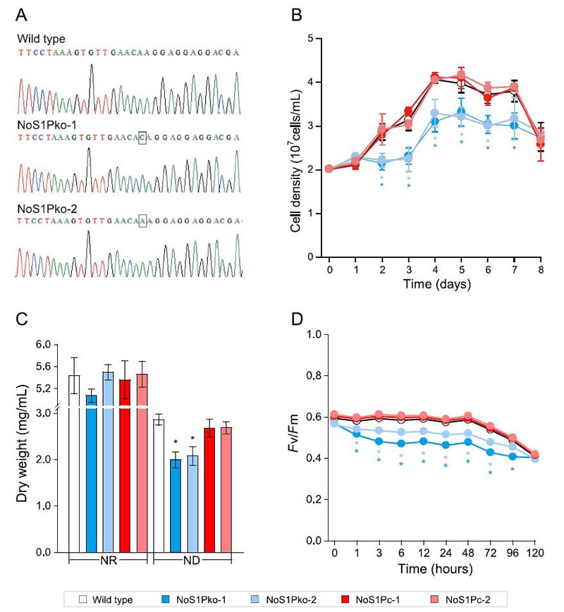 圖426012801.jpg 圖426012801.jpg