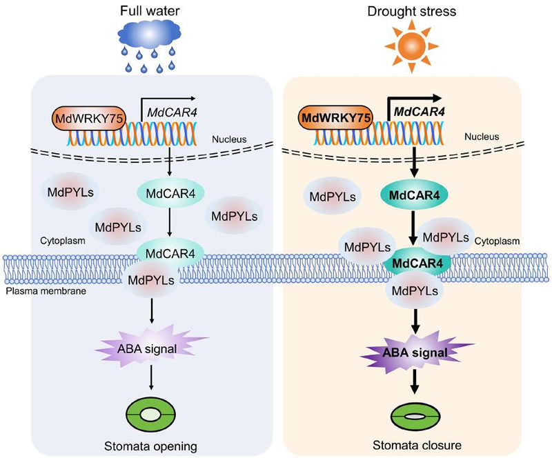 圖326012801.jpg 圖326012801.jpg