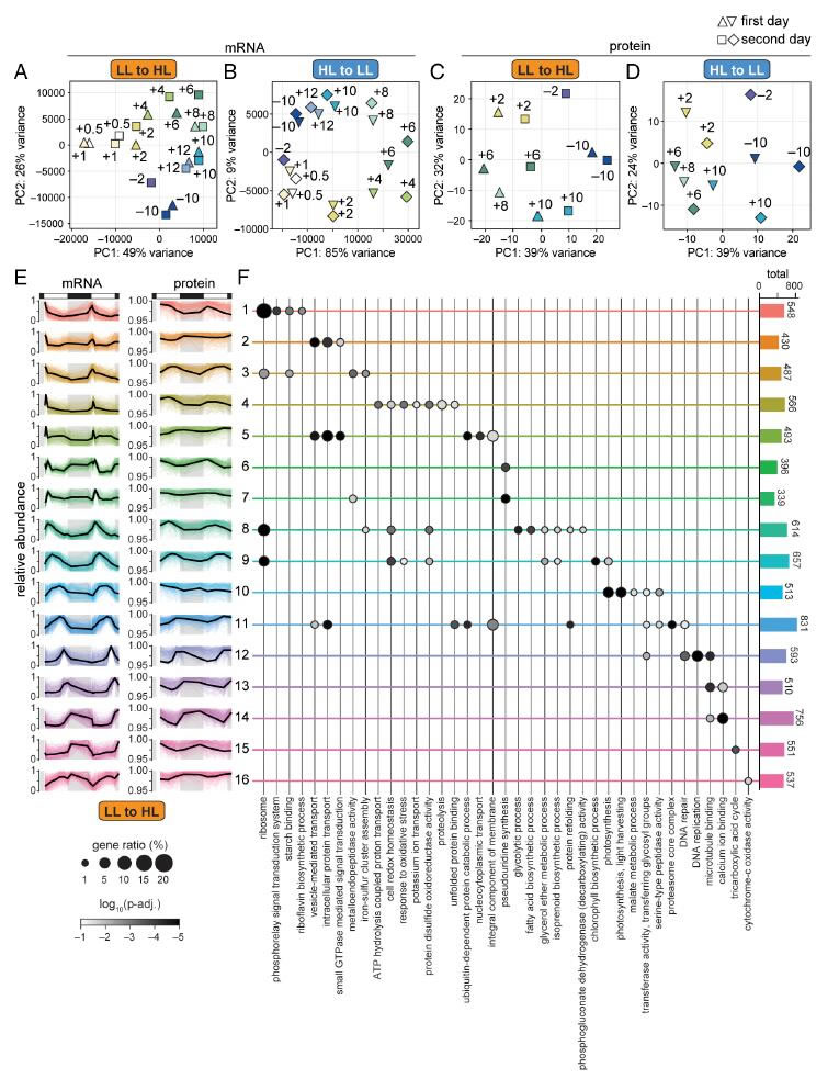 圖226012801.jpg 圖226012801.jpg