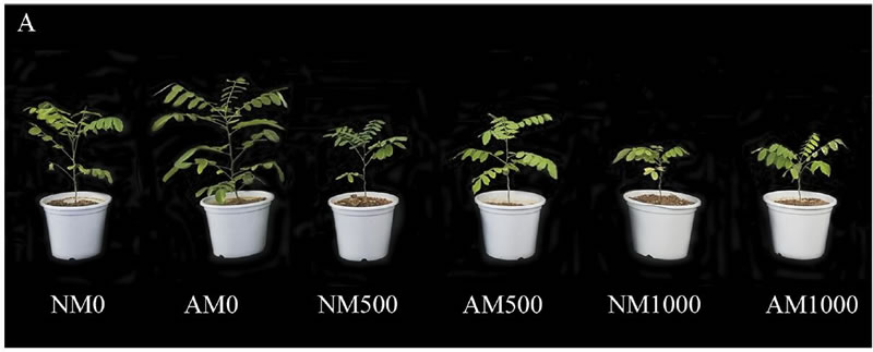 圖126012801.jpg 圖126012801.jpg